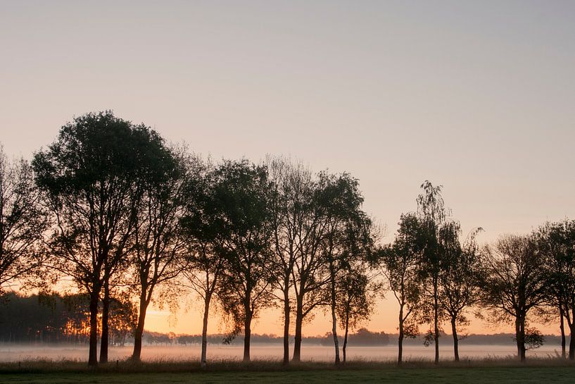 Morning Fog van Ruud van Ravenswaaij