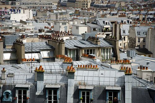 Daklandschap in Parijs met zinken daken