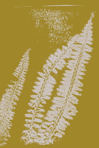 Wabi-Sabi Botanisch: Gedrukte varens op geel.