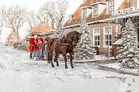 Wishing you joy and Nobel van Eilandkarakters Ameland thumbnail