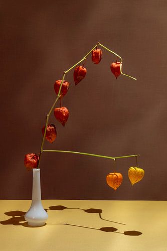 Lampion in een fragiel vaasje.