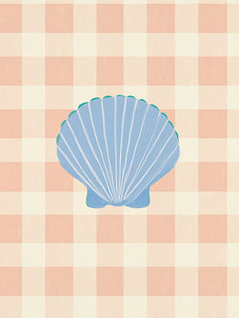 coquillage