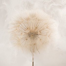 Minimalist tranquillity: A protective haze around the fluff by Marjolijn van den Berg