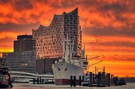 Hamburg - Elbphilharmonie (Elphi) and Landungsbrücken by Das-Hamburg-Foto thumbnail
