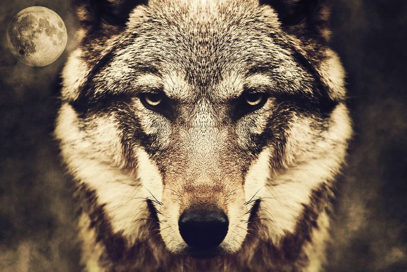 Wolf Moon 2 van Mateo