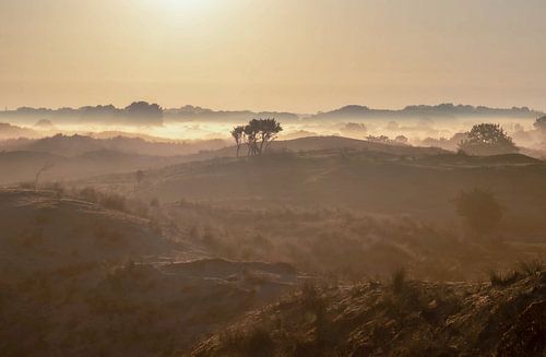 Amsterdamse Waterleiding Duinen