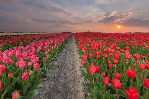 Sunset at Zijldijk by Ron Buist