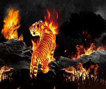 Photoshop: Fire Tiger Art van Mark