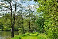 Frühling am See
