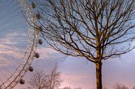 London Eye van Carina Buchspies thumbnail