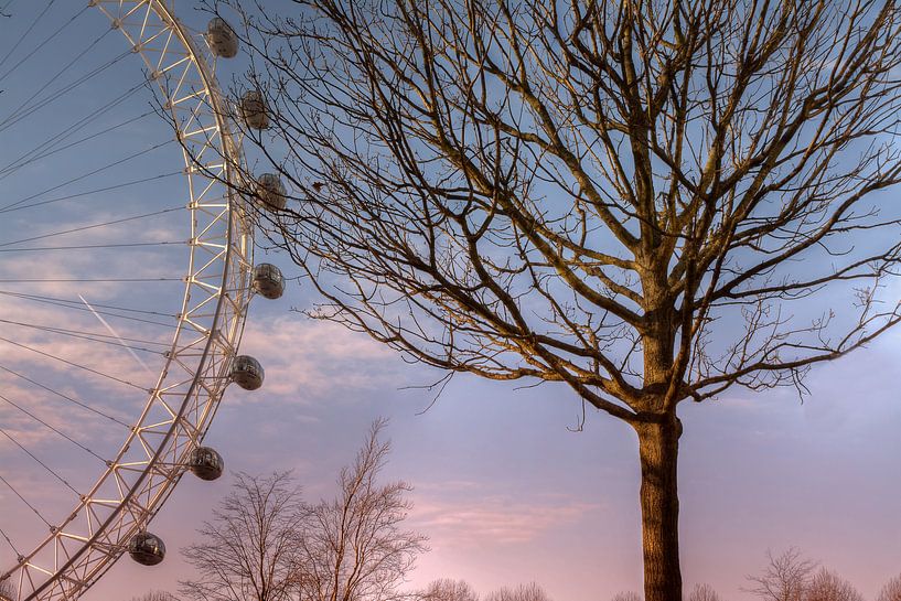 London Eye van Carina Buchspies