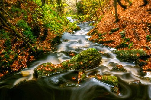Sfeervolle rivier met rotsblokken