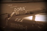 Eisenbahn zur Freiheit - Camp