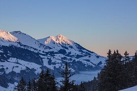 Zonsopgang in de Berner Alpen van Martin Steiner