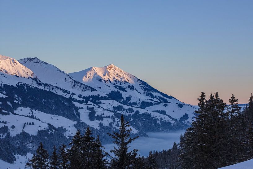 Sonnenaufgang in den Berner Alpen von Martin Steiner