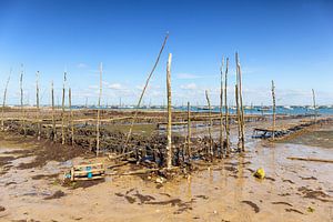 Muschelbänke bei Ebbe in der Bucht von Arcachon, Frankreich