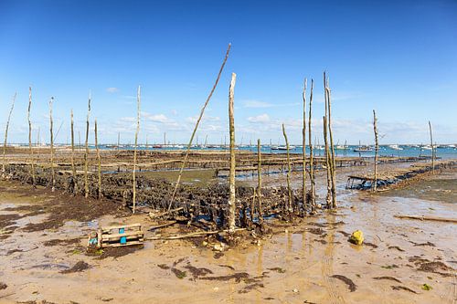 Mussel beds at low tide in the Arcachon Bay, France