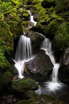 Watervallen in het zwarte woud, Duitsland van Bart cocquart
