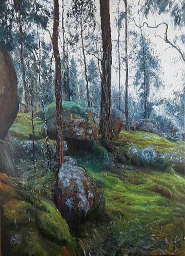 Hoog in de bergen aarde en natuur