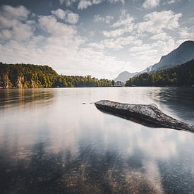 De Alpsee van Eduard Martin