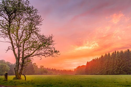 Lichtsymfonie boven de Ardennen van vincent janssen
