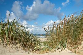 Zeezicht door het helmgras