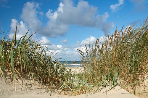 Zeezicht door het helmgras