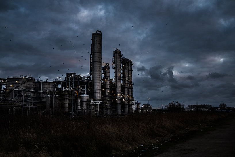 Botlek industrie von MICHEL WETTSTEIN