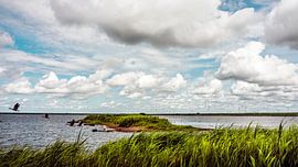 Nordfriesland an der Nordsee von Heiko Westphalen