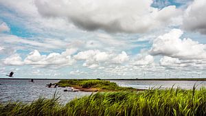 La Frise du Nord à la mer du Nord