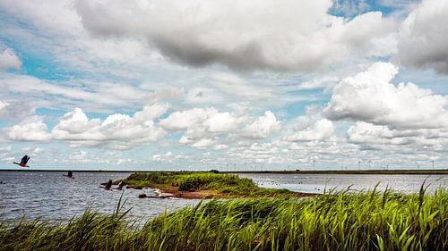 Noord-Friesland aan de Noordzee