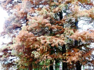 Tree Magic 54 - autumn sur MoArt (Maurice Heuts)