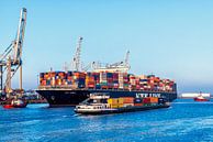 Containerschip in de haven van Rotterdam bij de container terminal van Sjoerd van der Wal Fotografie thumbnail