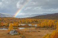 Herfst in Noorwegen van Menno Schaefer thumbnail