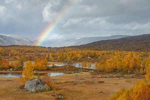 Herbst in Norwegen