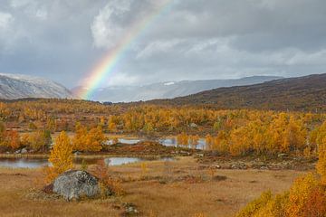Herbst in Norwegen von Menno Schaefer