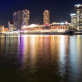 Night view of the Erasmus Bridge, Kop van Zuid and a cruise ship in Rotterdam von Anna Krasnopeeva