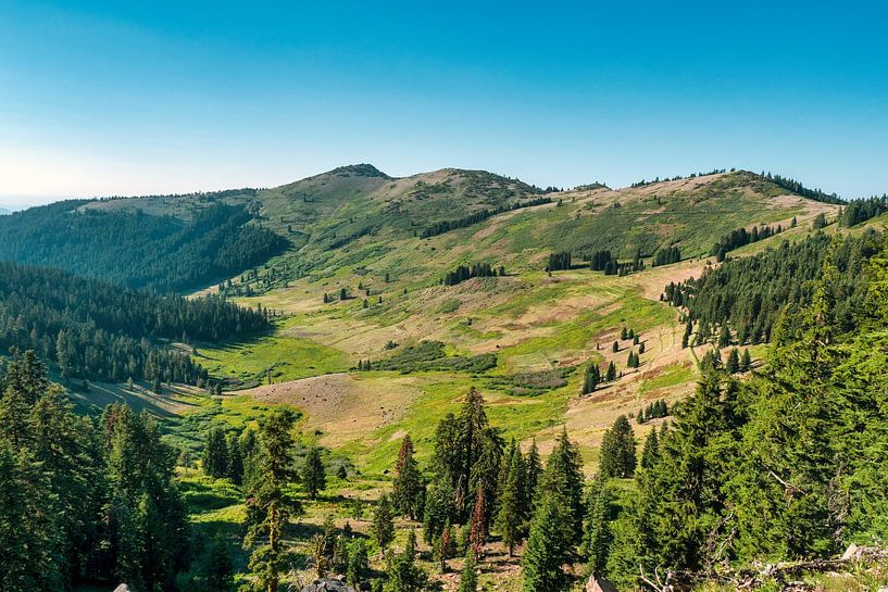 Tal voller blühender Natur von Marc van den Elzen