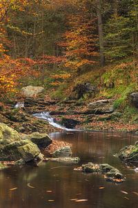 Herbst