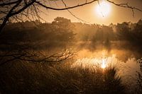 Golden sunrise