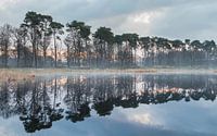Reflections
