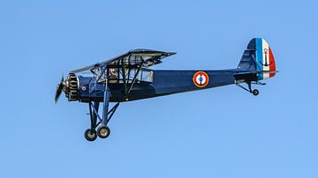 Morane-Saulnier MS.502 Criquet. van Jaap van den Berg