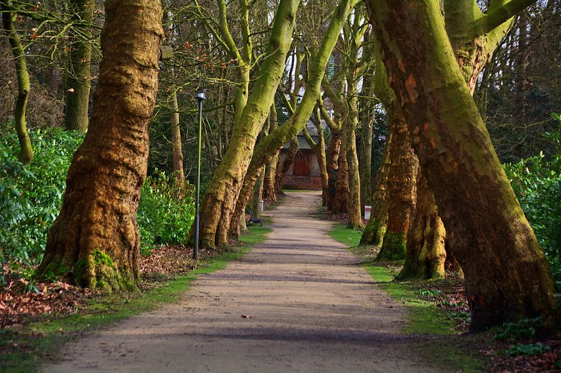 Kasteelpark 30 van Edgar Schermaul