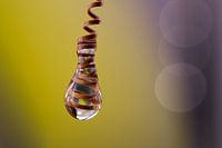 caught in a drop
