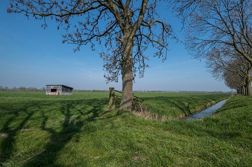 Schuur in weiland 05