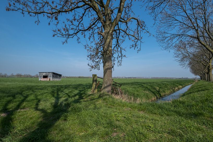 Schuur in weiland 05 von Moetwil en van Dijk - Fotografie