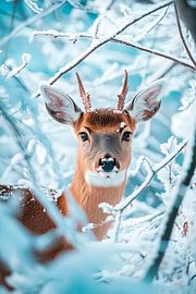 Reh im winterlichen Landschaftszauber von Poster Art Shop