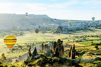 Luchtballonnen en zonovergoten landschap