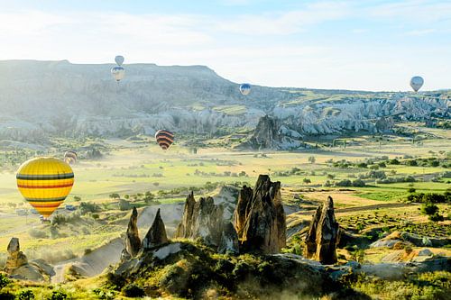 Hot air balloons and sunlit landscape