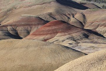 Beschilderde heuvels in het John Day Fossil Beds National Monument bij Mitchell City, Wheeler County van Frank Fichtmüller